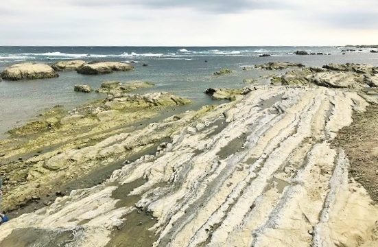 ちくら潮風王国横の干潮時で岩場が顔を出した千田海岸