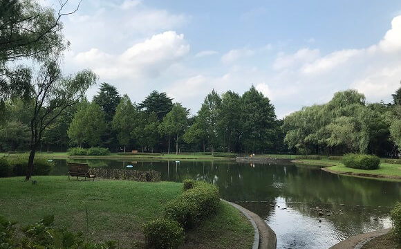 彩の森入間公園の円内にある上池と豊かな緑
